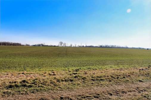 freier Blick in die Natur - Etagenwohnung in 06237 Leuna mit 70m² als Kapitalanlage kaufen