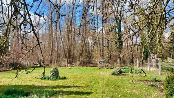 Blick auf das Grundstück - Einfamilienhaus in 06217 Merseburg mit 108m² kaufen