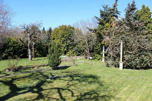 Garten Bild 1 - Einfamilienhaus in 06217 Merseburg mit 108m² kaufen