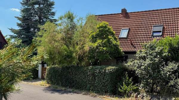 Natürlicher Sichtschutz - Doppelhaushälfte in 06118 Halle mit 113m² kaufen