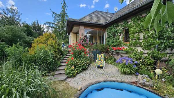 Blick vom Pool auf den Wintergarten - Einfamilienhaus in 06198 Salzatal mit 231m² kaufen