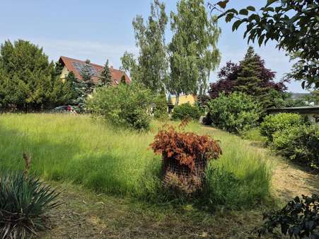 Blick von der Garage Blick von der Garage - Grundstück in 04509 Delitzsch mit 758m² kaufen