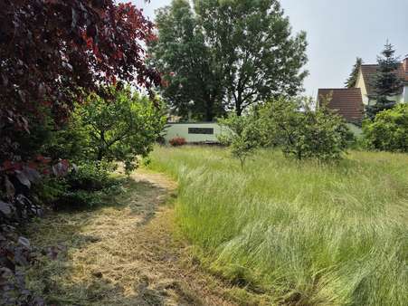 Blick zur Garage Blick zur Garage - Grundstück in 04509 Delitzsch mit 758m² kaufen