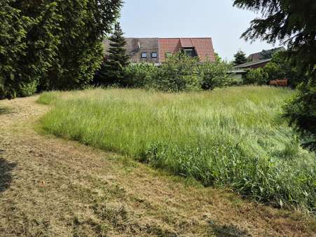 Grundstücksansicht Grundstücksansicht - Grundstück in 04509 Delitzsch mit 758m² kaufen