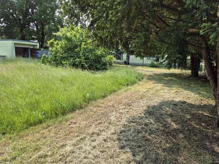 Grundstücksansicht Grundstücksansicht - Grundstück in 04509 Delitzsch mit 758m² kaufen