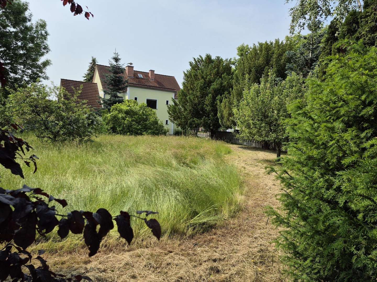 Grundstücksansicht Grundstücksansicht - Grundstück in 04509 Delitzsch mit 758m² kaufen