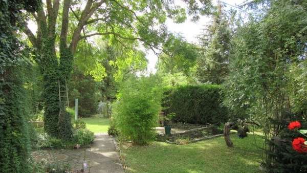 Garten - Doppelhaushälfte in 06132 Halle mit 120m² kaufen