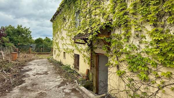 Zufahrt und Zugang zum Keller - Einfamilienhaus in 06128 Halle mit 100m² kaufen