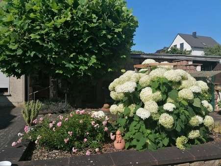 2.Bild - Einfamilienhaus in 06526 Sangerhausen mit 200m² kaufen