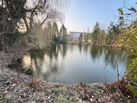 image6 - Einfamilienhaus in 06311 Helbra mit 148m² kaufen