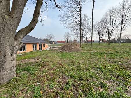 IMG_2399 - Bungalow in 06295 Lutherstadt Eisleben mit 138m² kaufen