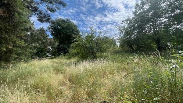 Blick ins Grundstück hinterm Haus - Einfamilienhaus in 06526 Sangerhausen mit 130m² kaufen