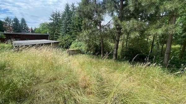 Blick vom Grundstück auf die Hausrückseite - Einfamilienhaus in 06526 Sangerhausen mit 130m² kaufen