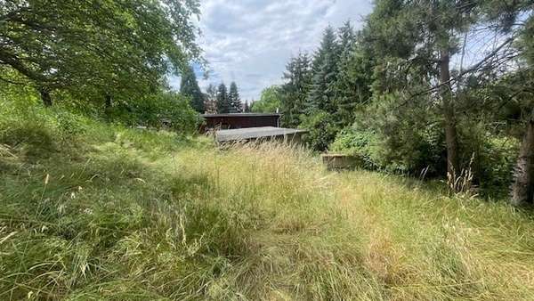 Blick vom Grundstück auf die Hausrückseite - Einfamilienhaus in 06526 Sangerhausen mit 130m² kaufen
