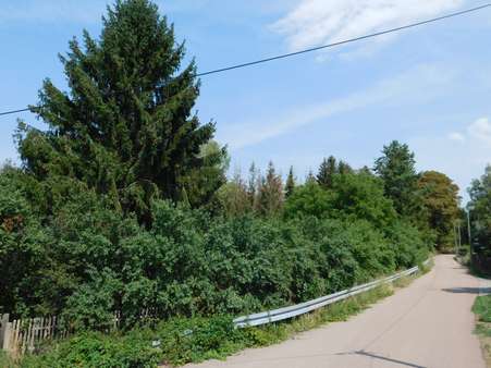 null - Grundstück in 06333 Hettstedt mit 15137m² kaufen