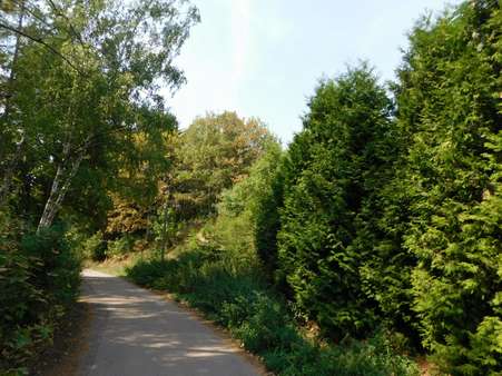 null - Grundstück in 06333 Hettstedt mit 15137m² kaufen