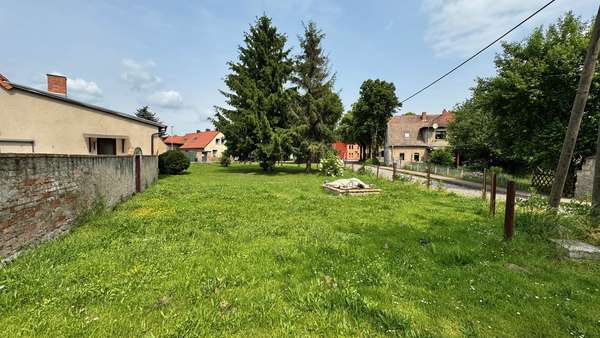 IMG_3210 - Einfamilienhaus in 06295 Lutherstadt Eisleben mit 136m² kaufen