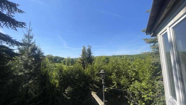 Blick von der Terrasse - Haus in 06526 Sangerhausen mit 50m² kaufen