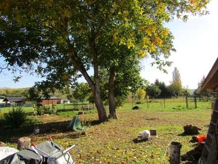 IMG_2263 - Einfamilienhaus in 06526 Sangerhausen mit 90m² kaufen