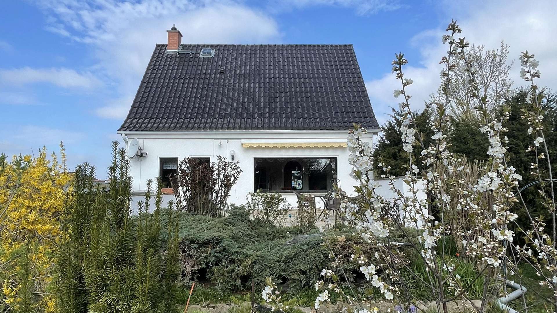 null - Einfamilienhaus in 06406 Bernburg mit 110m² kaufen