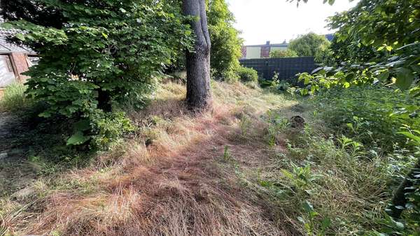 Garten - Reiheneckhaus in 39240 Groß Rosenburg mit 100m² kaufen
