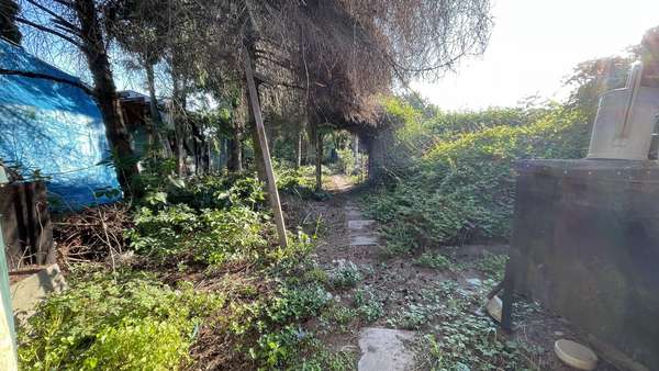 Gartenbereich Gartenbereich - Doppelhaushälfte in 06429 Nienburg mit 115m² kaufen