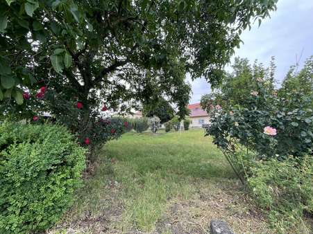 Garten - Einfamilienhaus in 06406 Bernburg mit 210m² kaufen