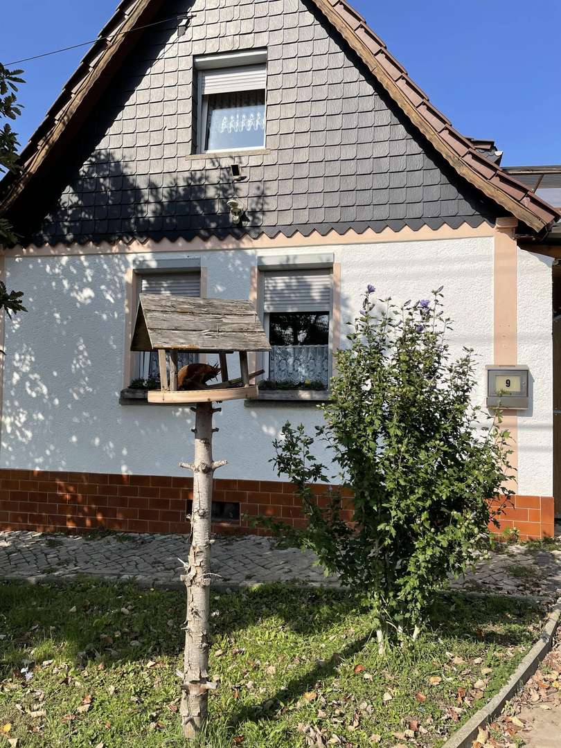 null - Einfamilienhaus in 06449 Aschersleben mit 120m² kaufen
