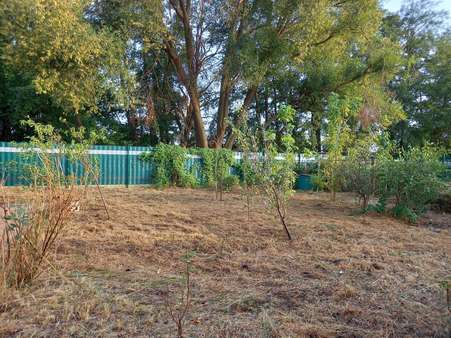 Garten - Doppelhaushälfte in 06886 Lutherstadt Wittenberg mit 74m² kaufen