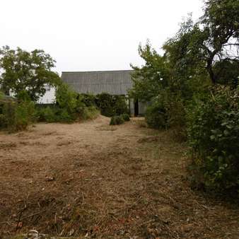 Garten - Reihenmittelhaus in 06917 Jessen mit 150m² kaufen