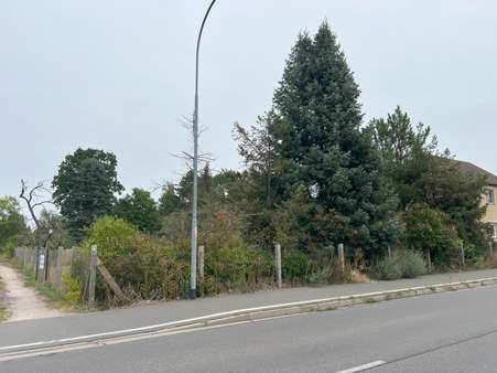 Grundstück Vorne - Grundstück in 06895 Zahna-Elster mit 1869m² kaufen