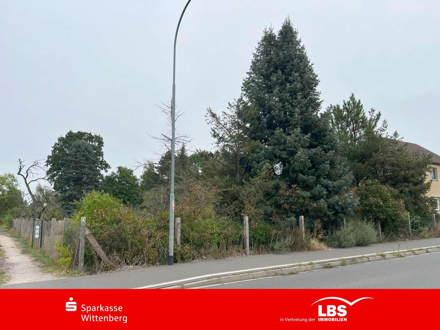 Grundstück Vorne - Grundstück in 06895 Zahna-Elster mit 1869m² kaufen
