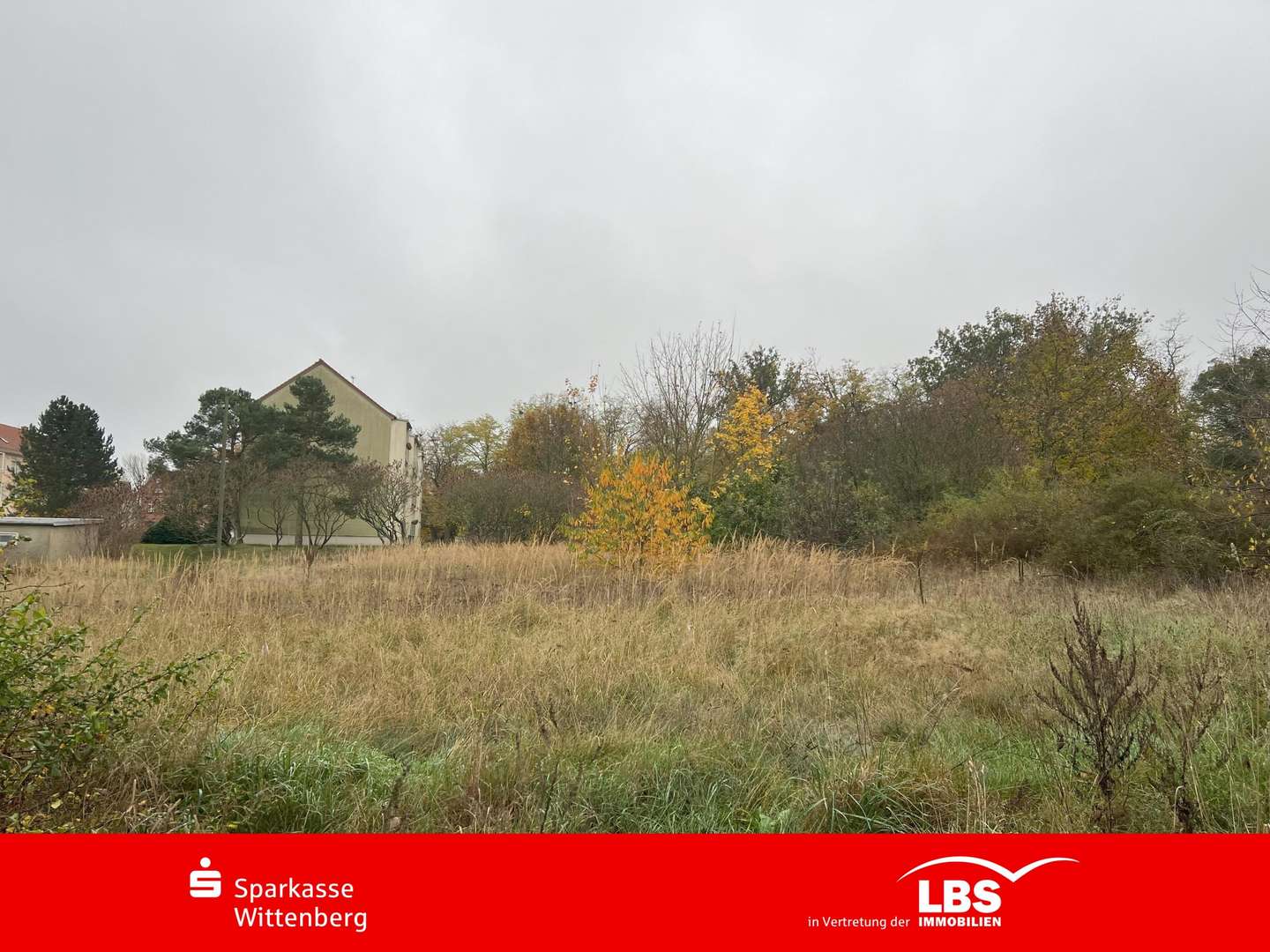 Grund Grund - Grundstück in 06905 Bad Schmiedeberg mit 2365m² kaufen