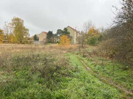 Grundstück2 Grundstück2 - Grundstück in 06905 Bad Schmiedeberg mit 2365m² kaufen