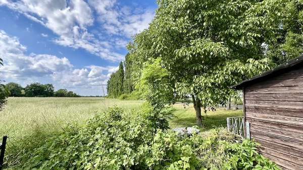 Garten mit Blick ins Grüne - Reihenmittelhaus in 06888 Lutherstadt Wittenberg mit 115m² kaufen