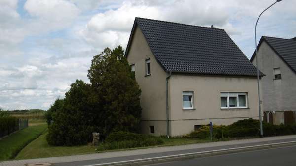 Seitenansicht Seitenansicht - Einfamilienhaus in 06895 Zahna-Elster mit 94m² kaufen