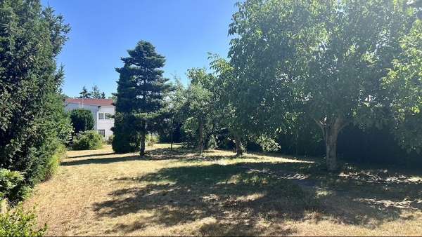 Großer Garten mit Platz zum Entspannen und Spielen Großer Garten mit Platz zum Entspannen und Spielen - Doppelhaushälfte in 06869 Coswig mit 136m² kaufen