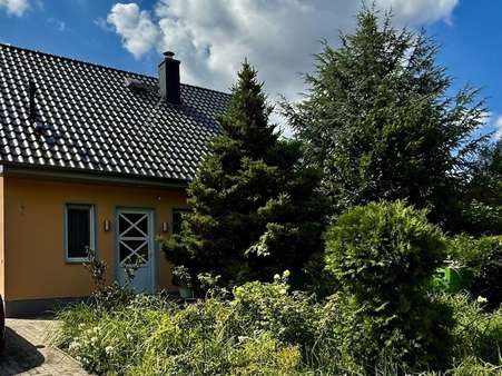 Hauseingangstür - Einfamilienhaus in 06917 Jessen mit 107m² kaufen