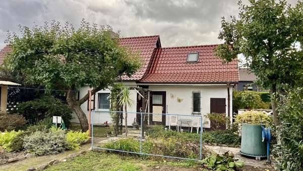 Außenansicht Rückseite Außenansicht Rückseite - Doppelhaushälfte in 06886 Lutherstadt Wittenberg mit 75m² kaufen