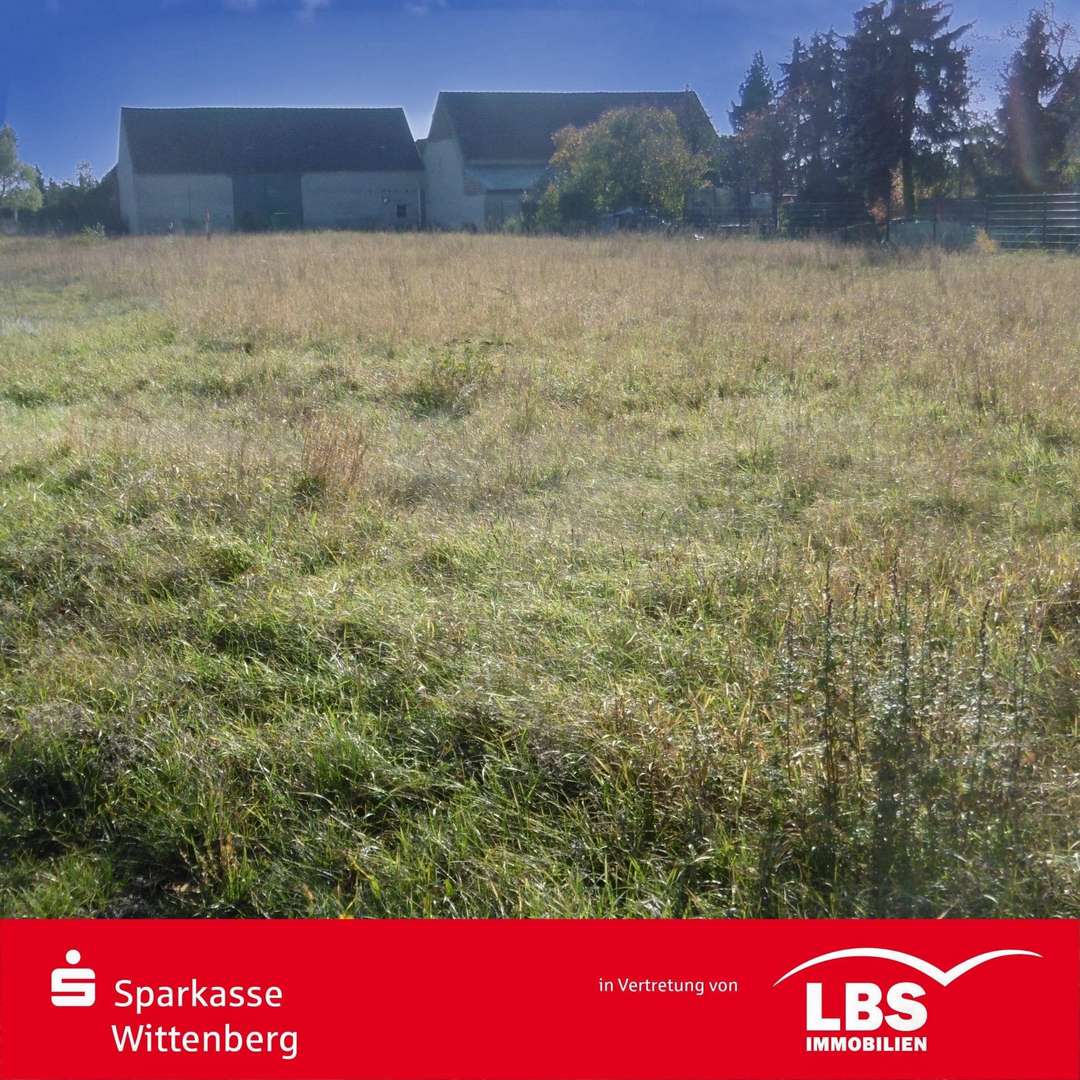 Straßensicht - Grundstück in 06917 Jessen mit 941m² kaufen
