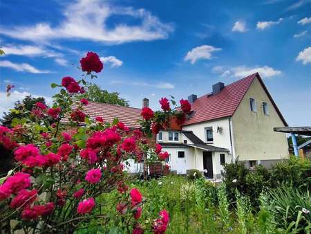 Blick aufs Haus Blick aufs Haus - Doppelhaushälfte in 39629 Bismark mit 100m² kaufen