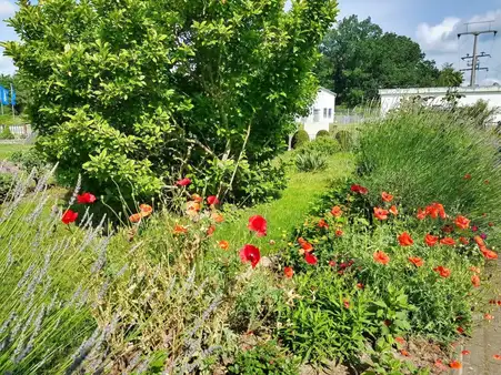 Goldbeck: Süßes Haus + großer Garten 