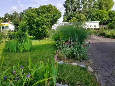 Goldbeck: Süßes Haus + großer Garten 