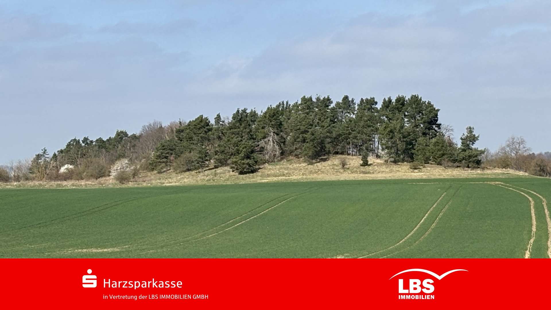 Außenansicht - Grundstück in 06484 Quedlinburg mit 115834m² kaufen