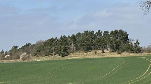 Außenansicht - Grundstück in 06484 Quedlinburg mit 115834m² kaufen