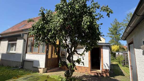 Außenansicht Außenansicht - Doppelhaushälfte in 06493 Ballenstedt mit 67m² kaufen