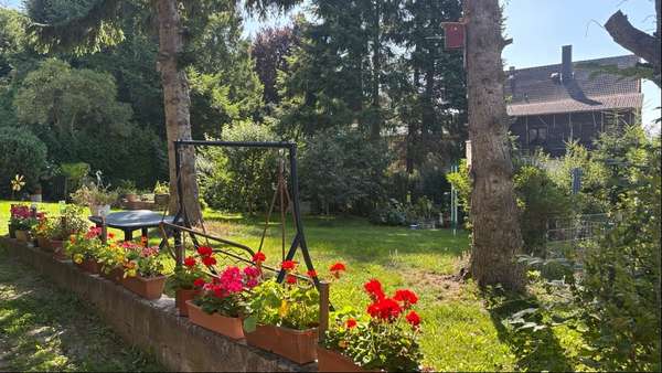 Photo-18 - Mehrfamilienhaus in 38875 Elbingerode mit 292m² kaufen