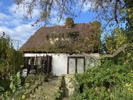 Hausansicht - Einfamilienhaus in 38820 Halberstadt mit 110m² kaufen