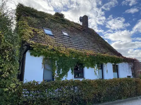 Gemütliches Zuhause mit grünem Paradies