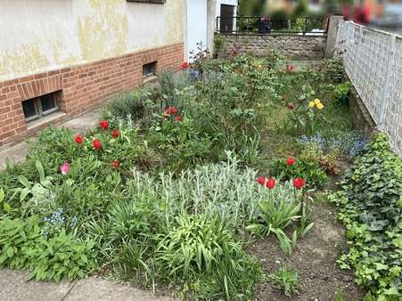 Vorgarten - Einfamilienhaus in 39128 Magdeburg mit 93m² kaufen